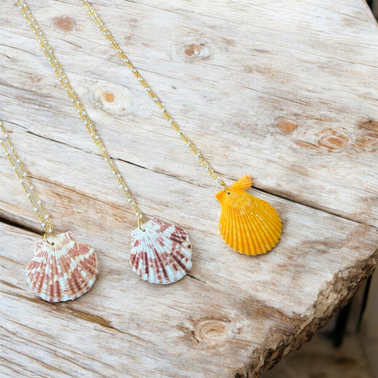 Citrus Cove Scallop Necklace