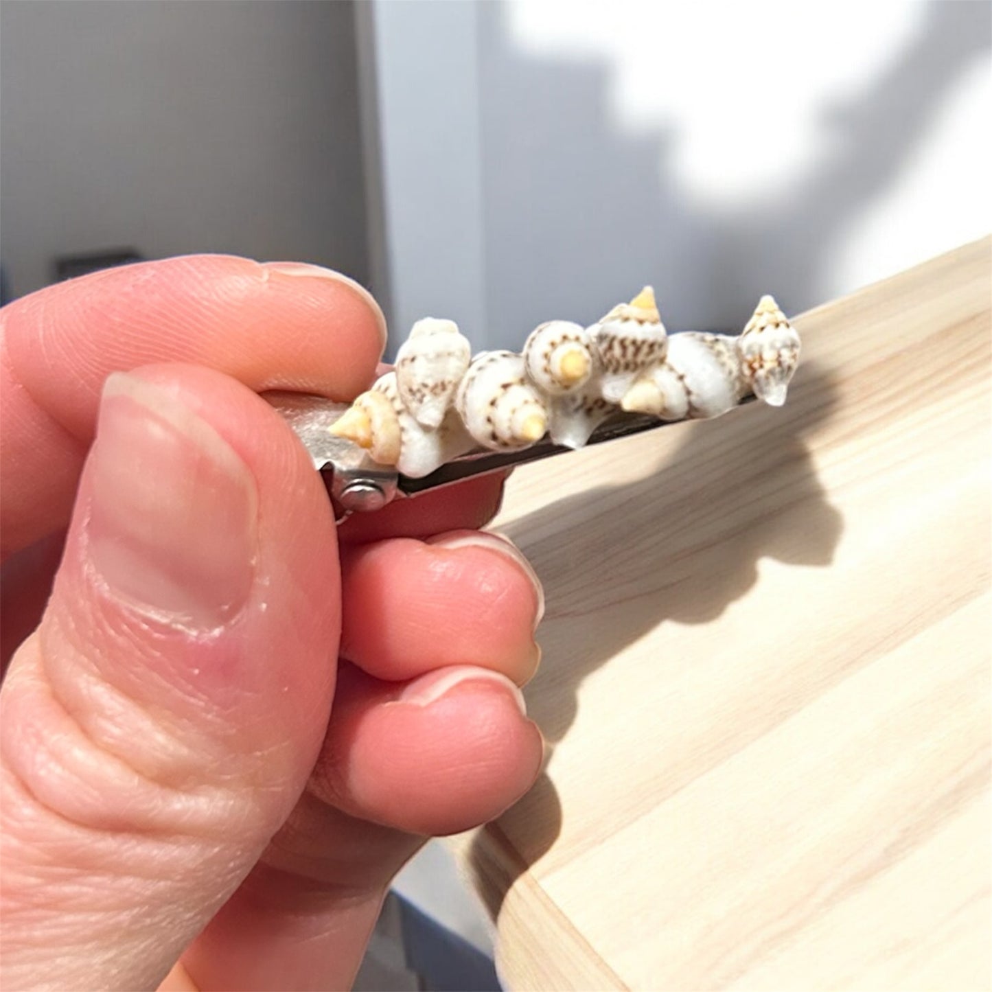 Tide Pool Treasure Hair Clip (Ivory)