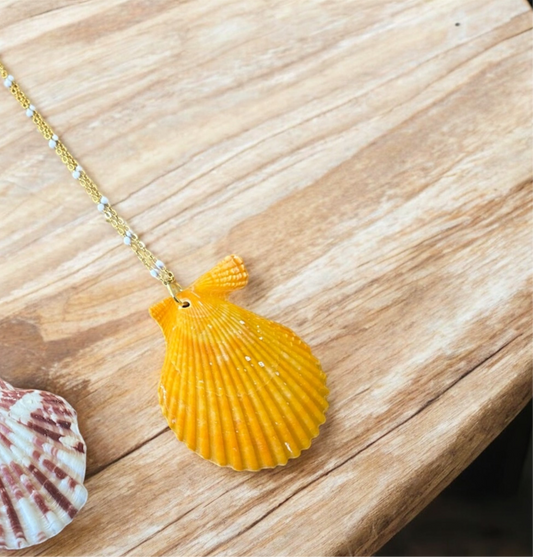Citrus Cove Scallop Necklace