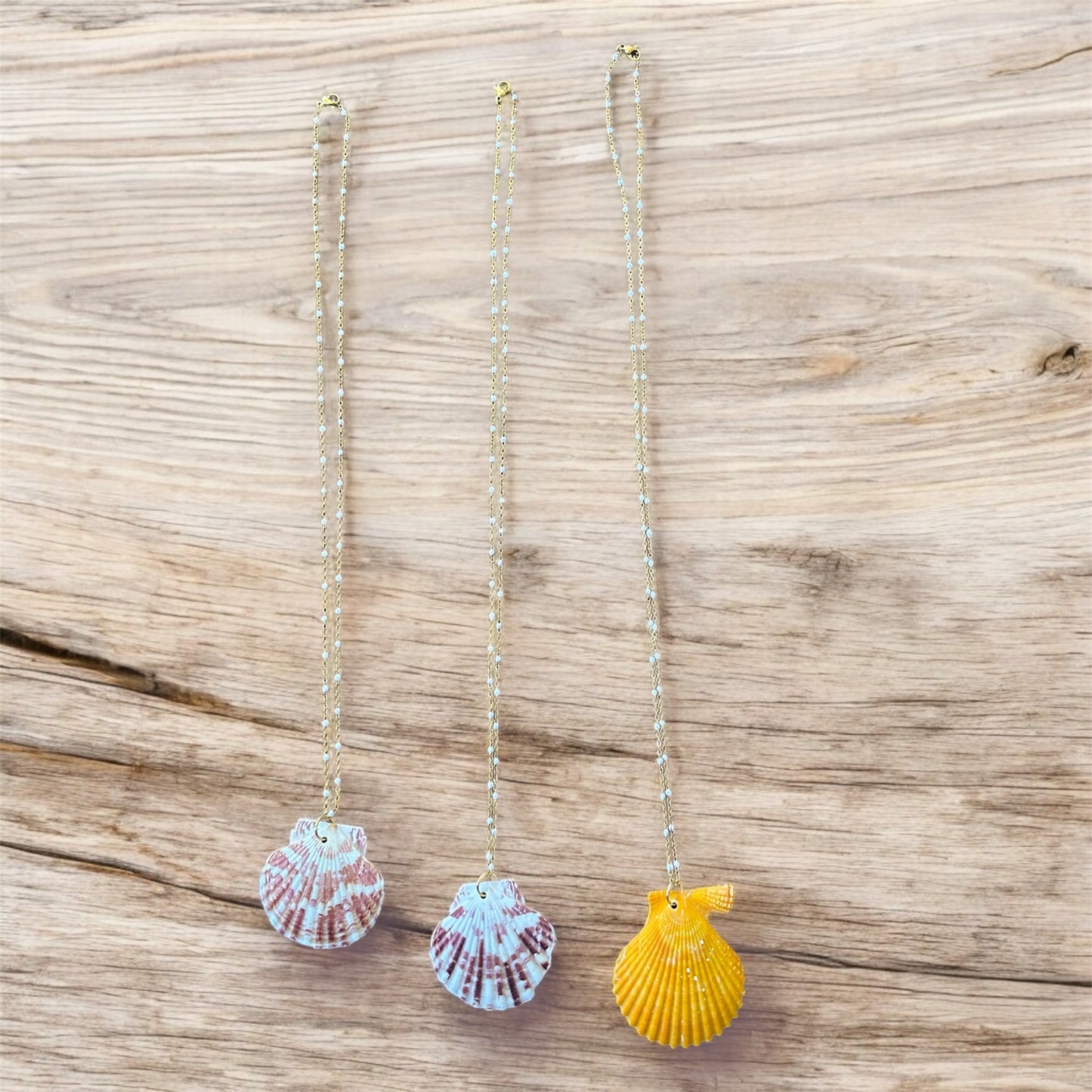 Citrus Cove Scallop Necklace