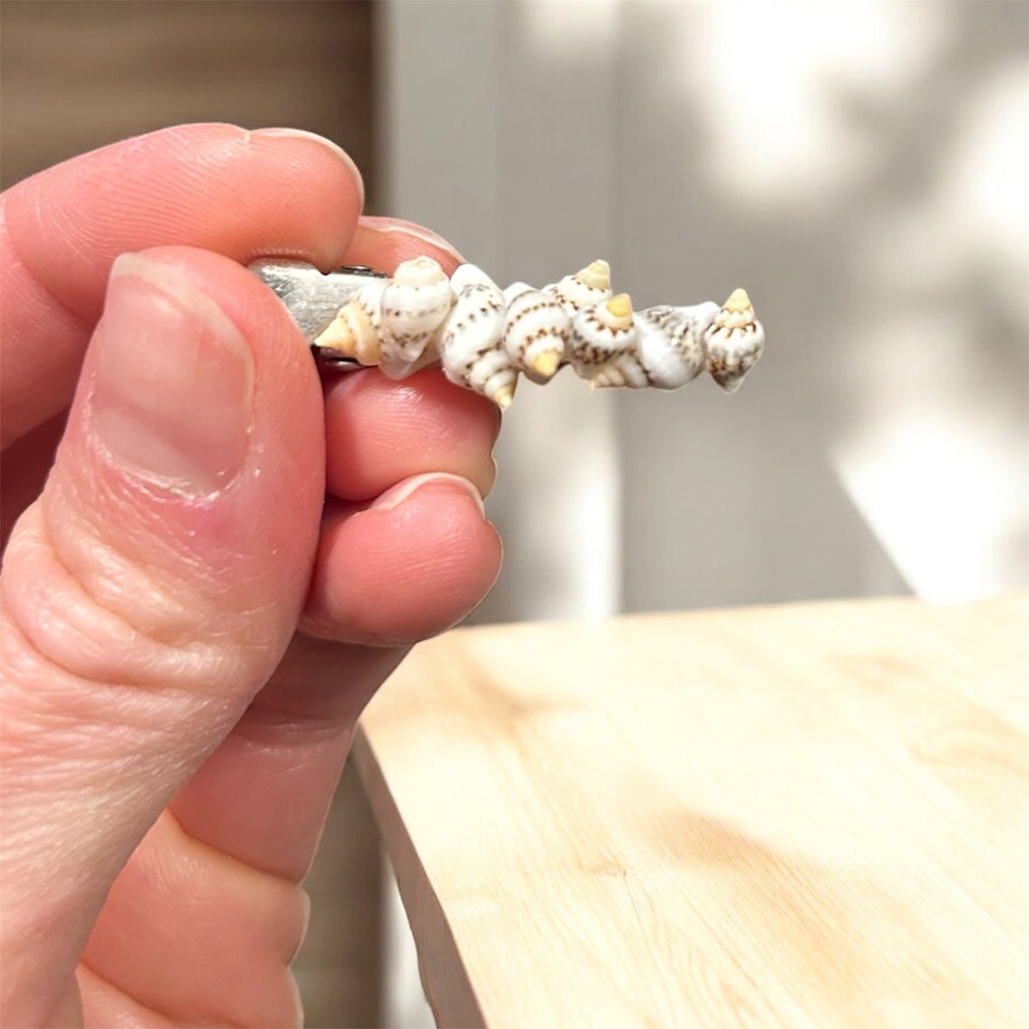Tide Pool Treasure Hair Clip (Ivory)