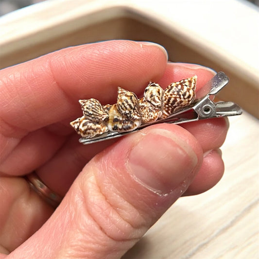 Tide Pool Treasure Hair Clip (Brown)