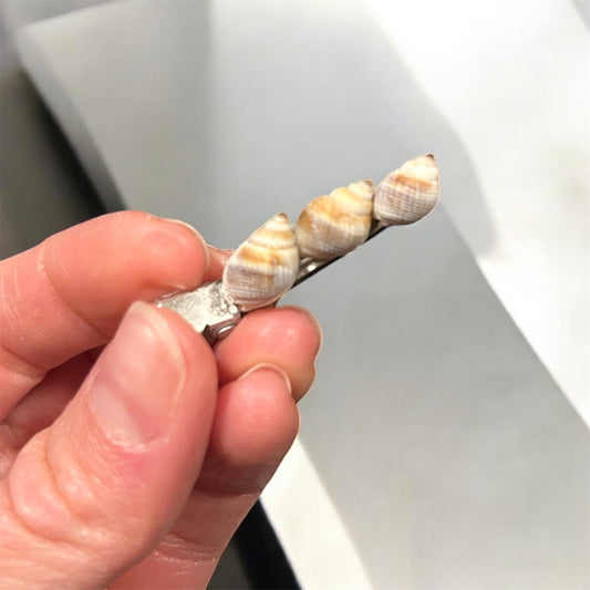 Tide Pool Treasure Hair Clip (Sand)